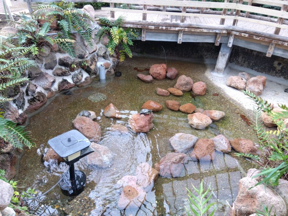 函館熱帯植物園の口コミ