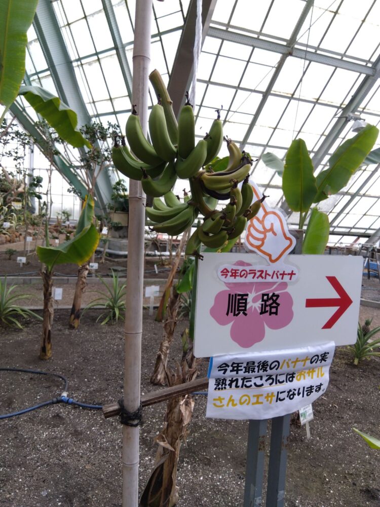 函館熱帯植物園の口コミ